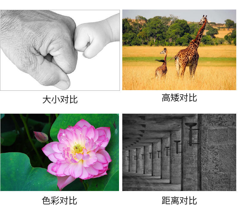 运用「对比原则」打破单调呆板的设计
